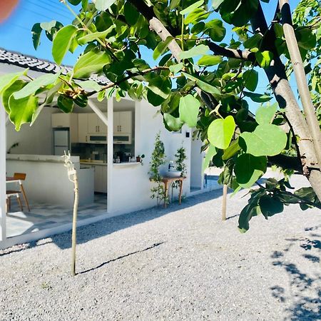 Airport Blue Eye Apartment Dalaman Best Location Also Suitable For Day Rentals Ideal For Air Travelers, 5 Km Close To Airport 外观 照片